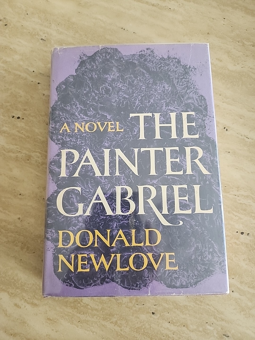 The painter Gabriel Newlove, Donald hardcover Used –