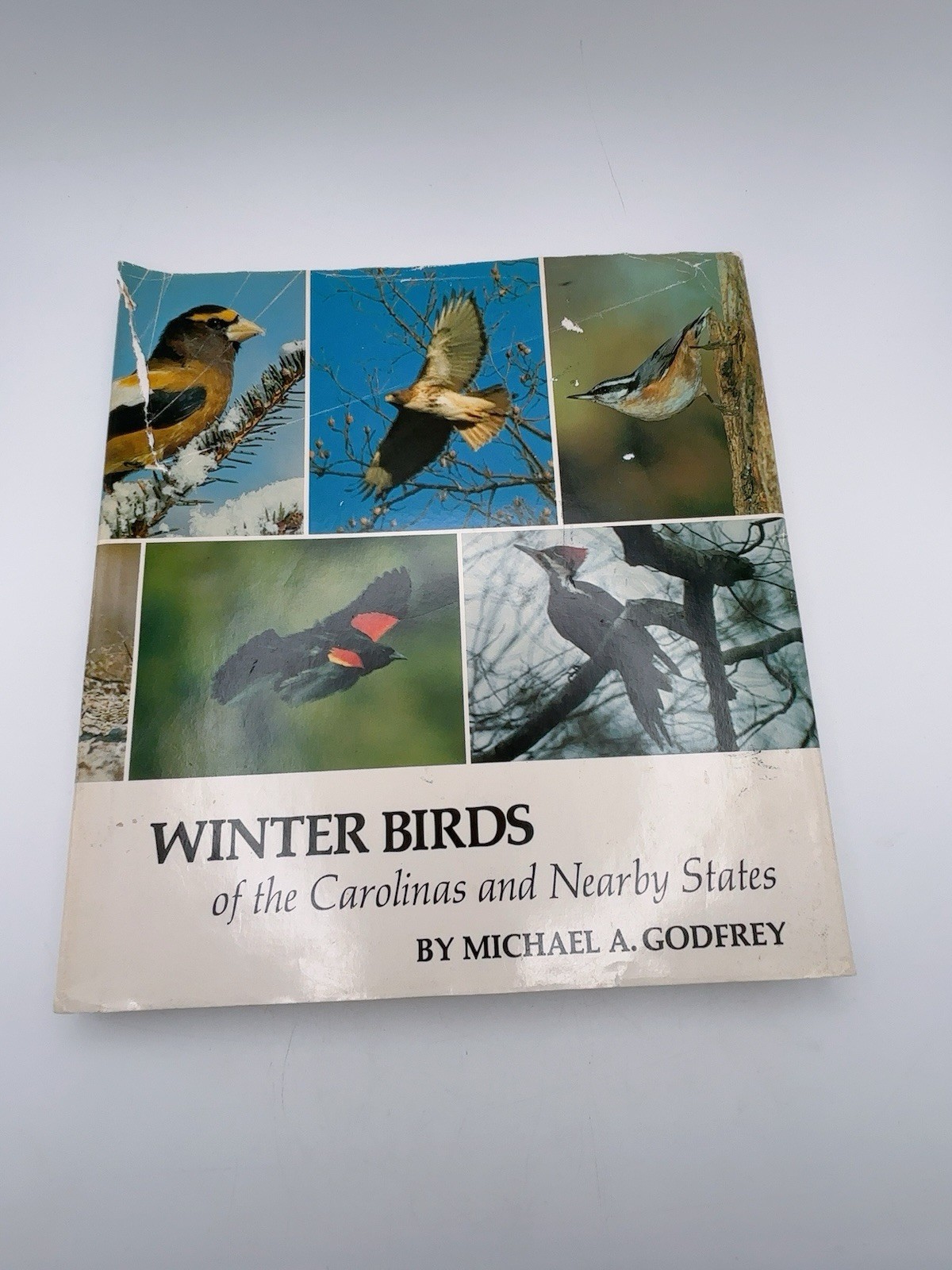 Winter Birds of the Carolinas and Nearby States Hardcover Michael Godfrey