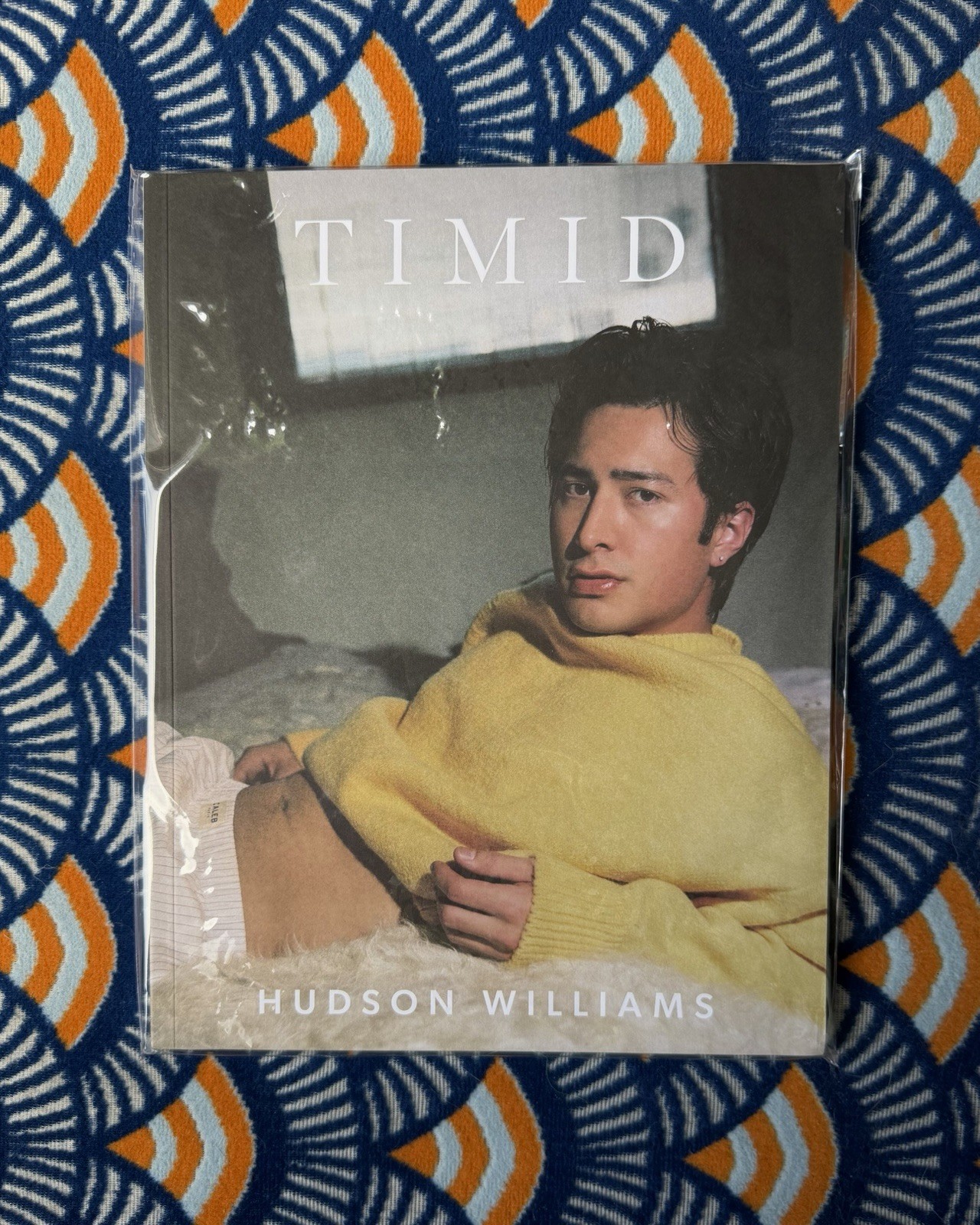 Hudson Williams | TIMID Magazine | Issue 06 | NEW * SEALED