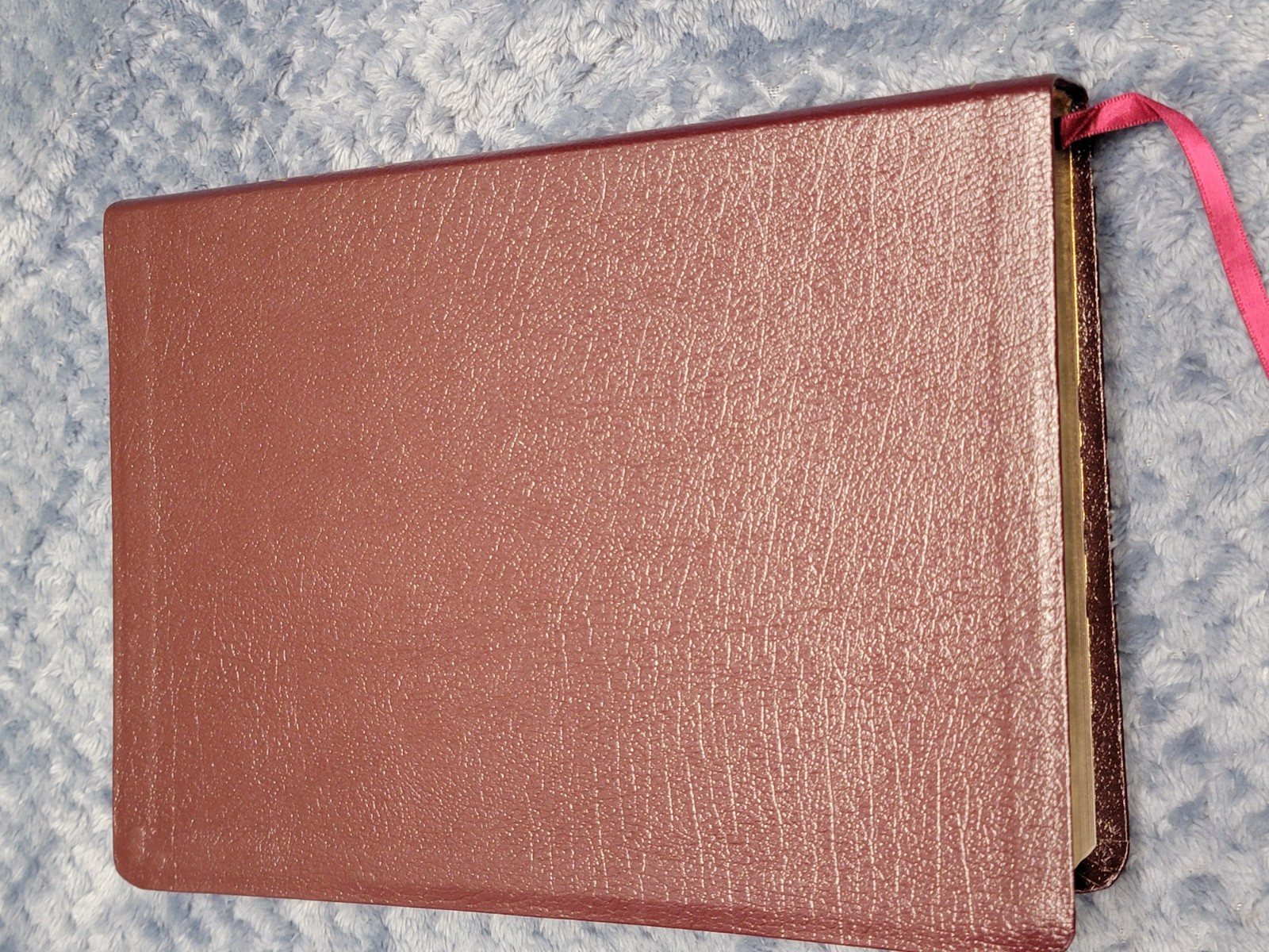 Life Application Study Bible New Living Translation Tyndale Burgundy Book