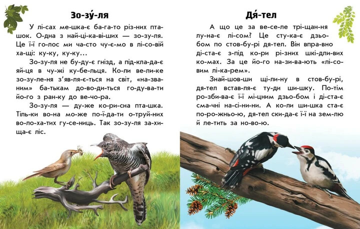 Тварини лісів. Читаю про Україну Book in Ukrainian