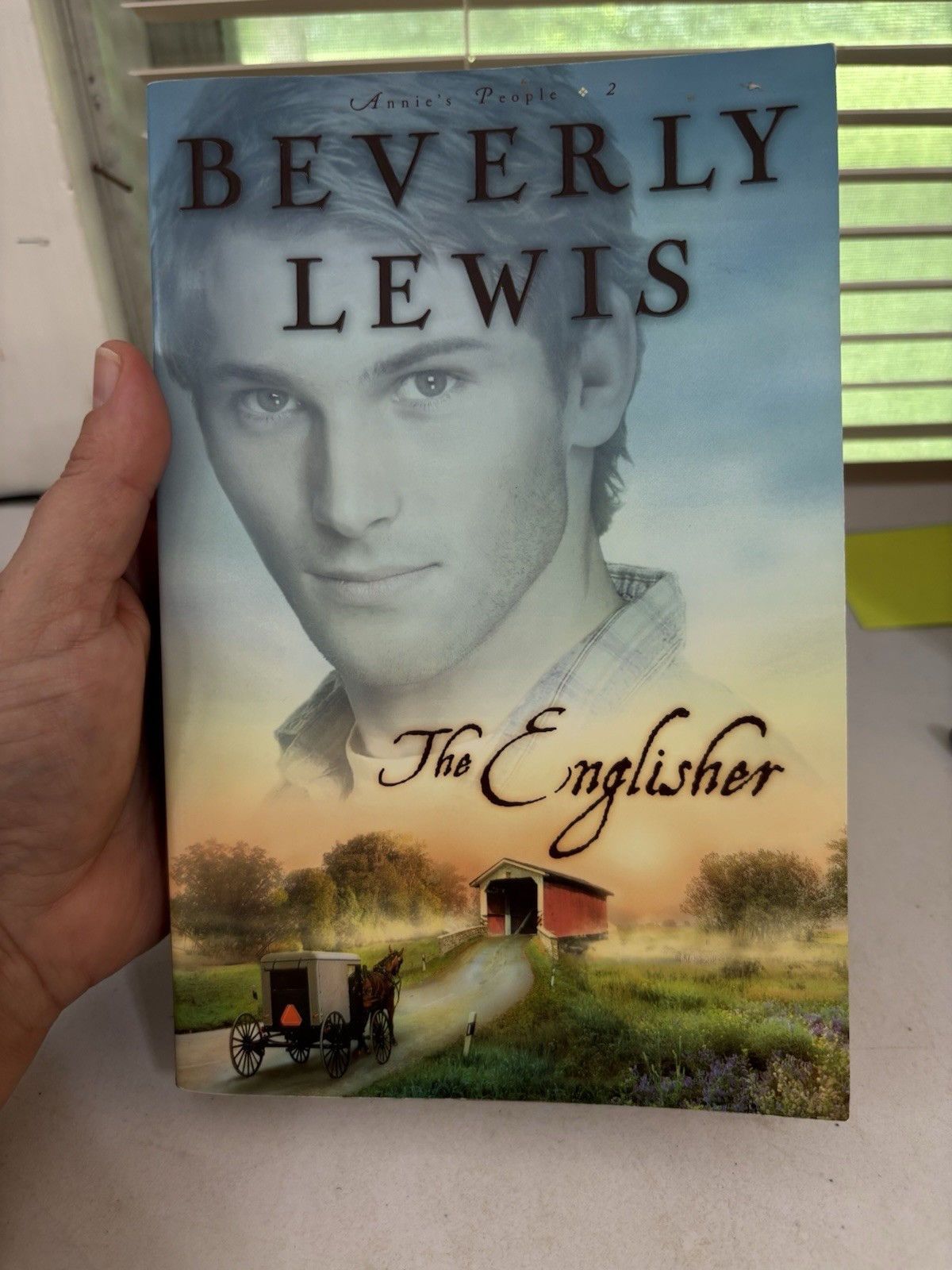 Beverly Lewis – Complete Annie’s People Series – Free Shipping