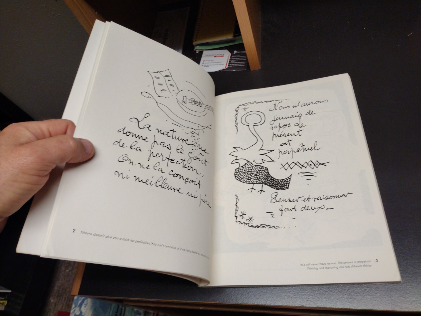 Georges Braque Illustrated Notebooks 1917-1955 Translated Stanley Appelbaum 1971