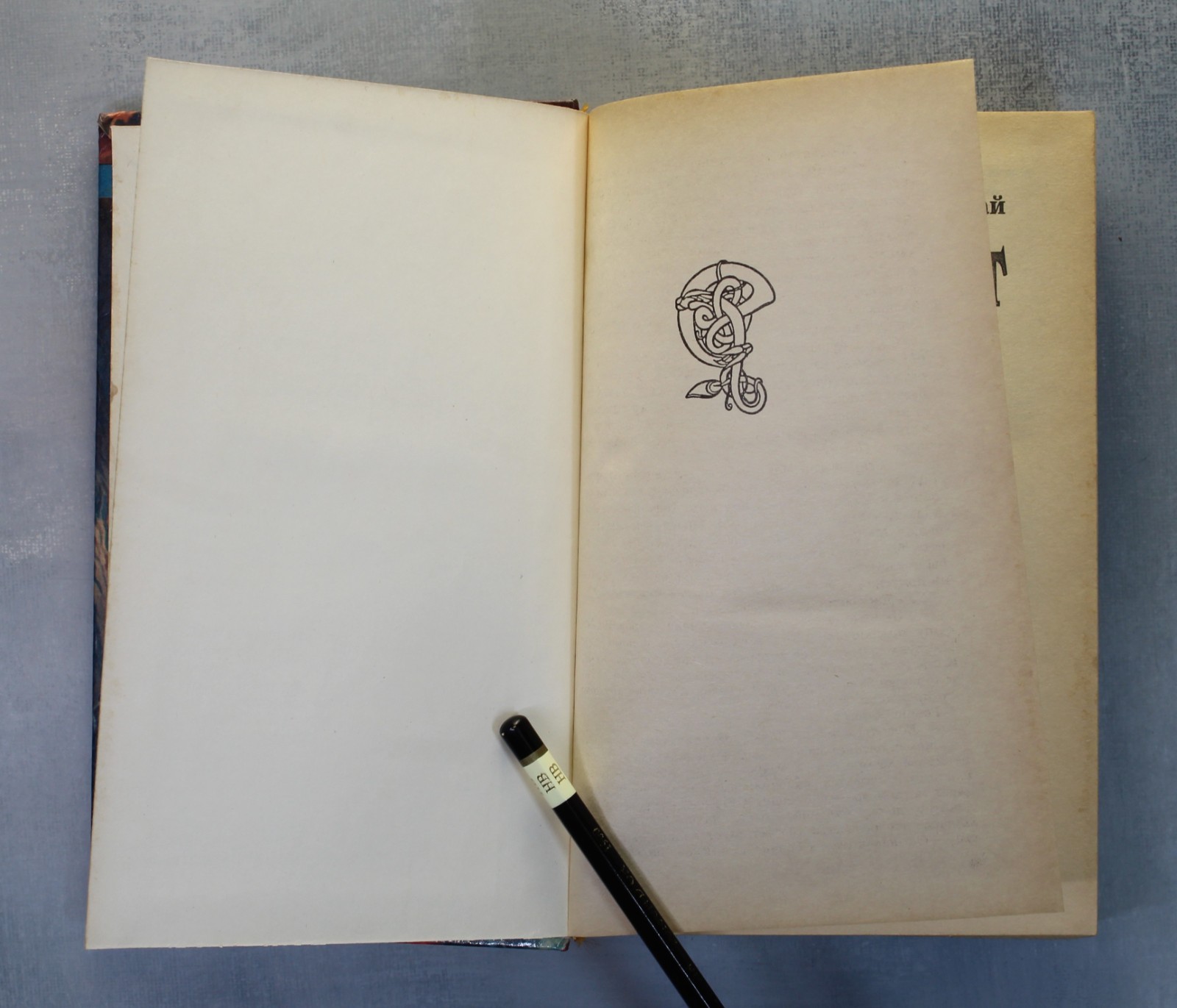 FIRST Book Max FRY LABYRINTH FIRST EDITION Russian book 1996 Макс Фрай ЛАБИРИНТ