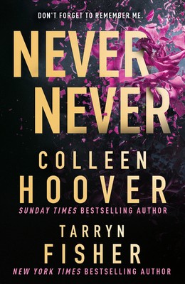Never Never: TikTok made me buy it! by Colleen Hoover; Tarryn Fisher