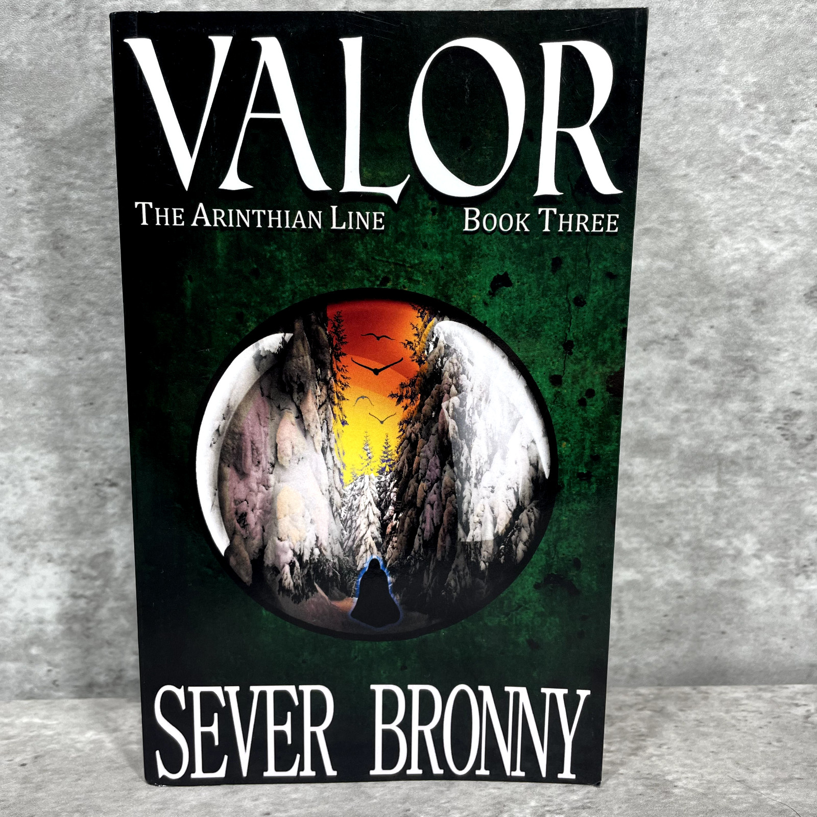 Valor: Volume 3 The Arinthian Line by Sever Bronny Paperback