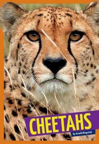 Cheetahs; Wild Cats – paperback, 1622432479, Arnold Ringstad