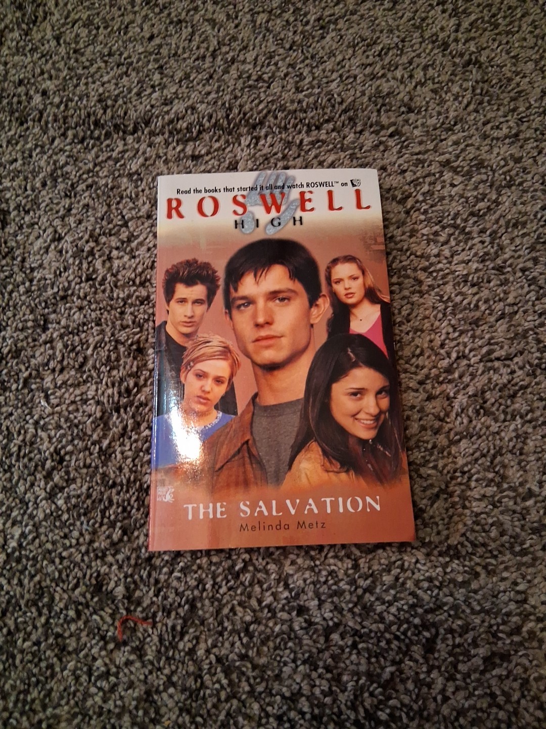 The Salvation (Roswell High No. 10) by Melinda Metz