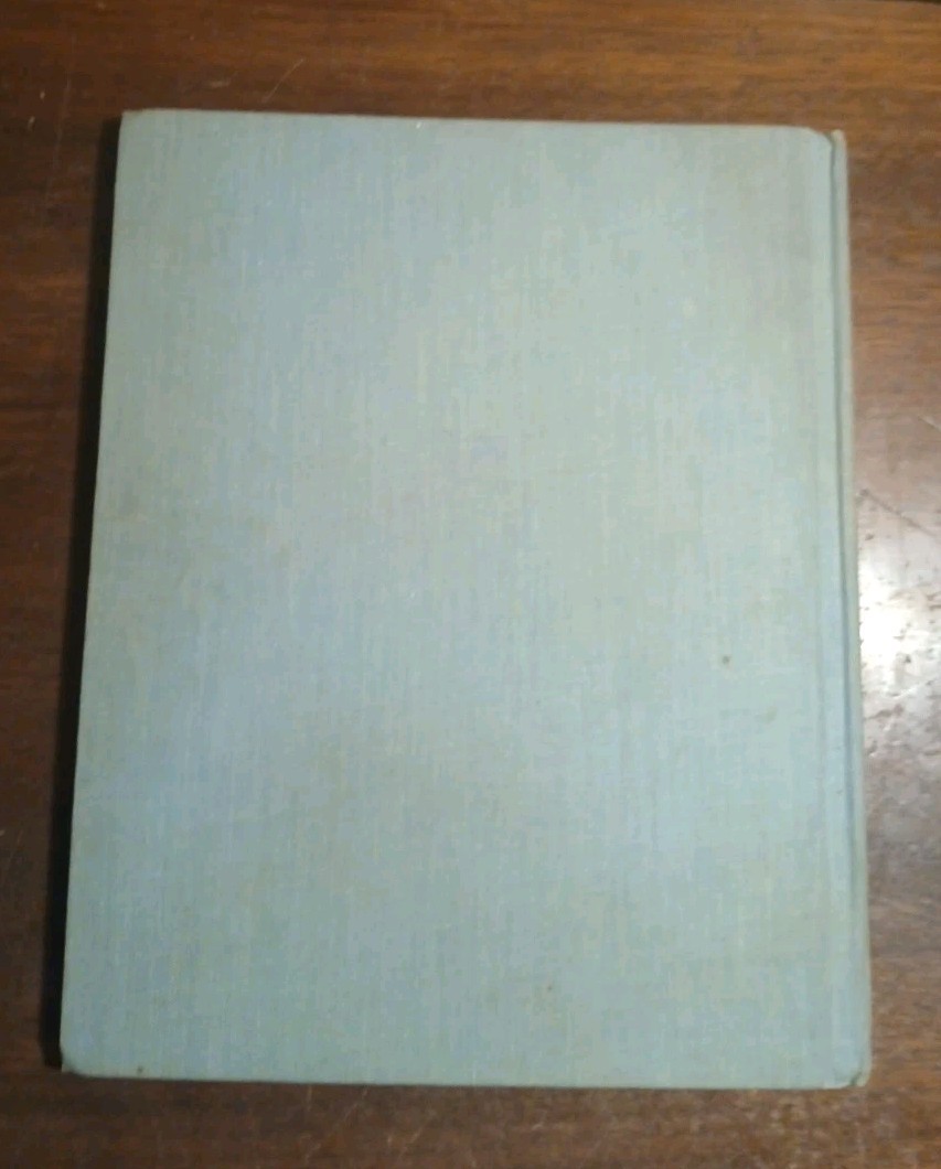 Cardboard Carpentry 1966 3rd Printing Hardcover By Janet & Alex D’Amao