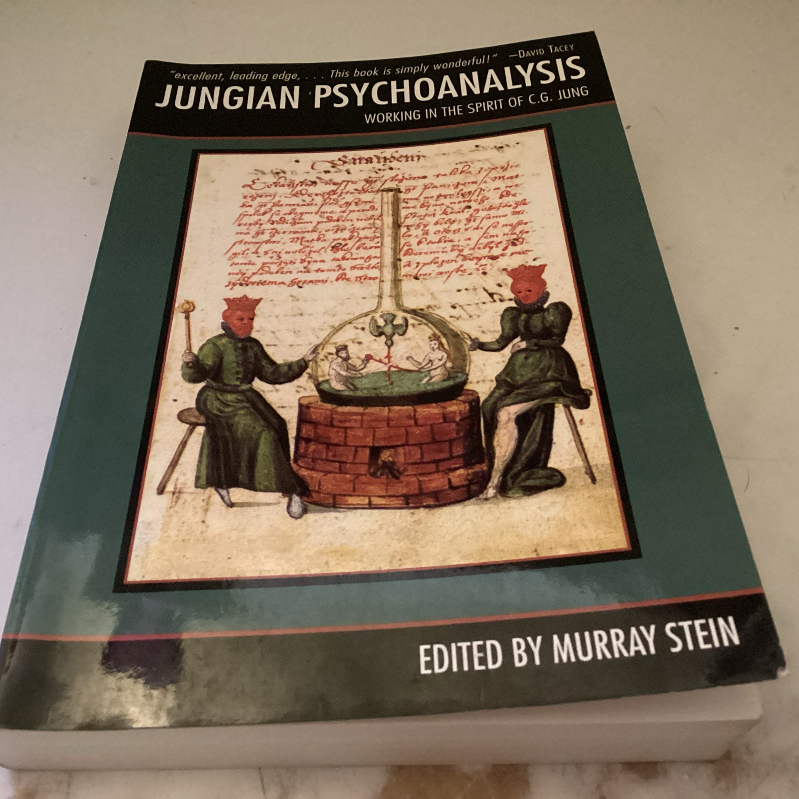 Jungian Psychoanalysis: Working in the Spirit of C G Jung