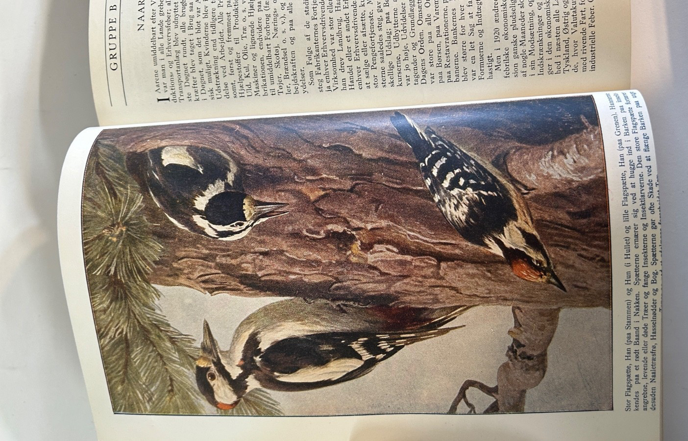 FREM Book 828 pages, 1925