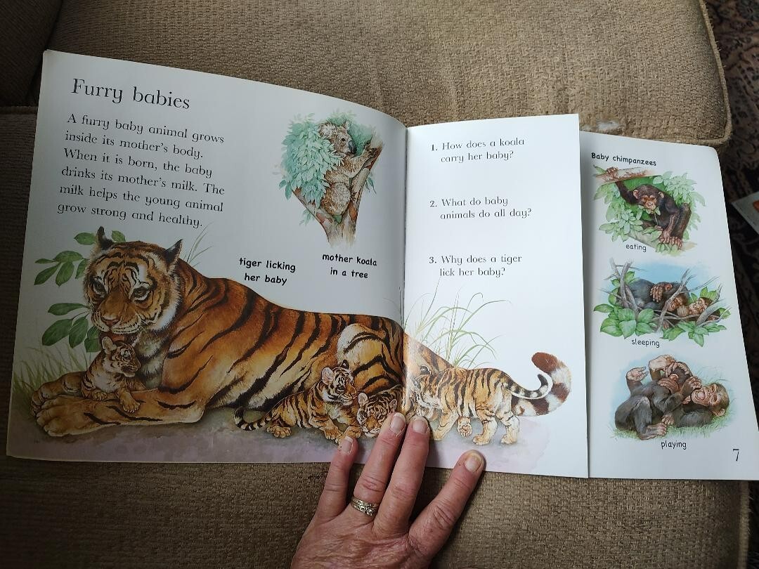 Flip the Flaps: Baby Animals Picture Book Hannah Wilson