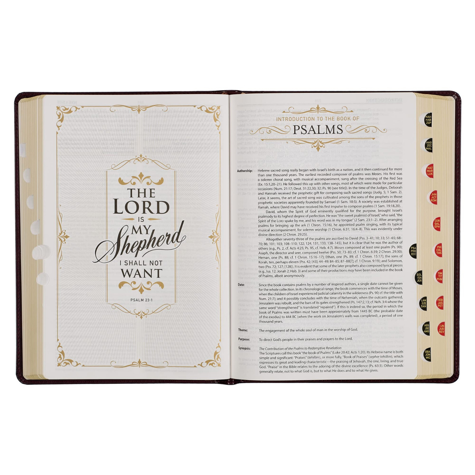 KJV Study Bible Large Print Thumb Indexed 2 Ribbons BRAND NEW in Shrink Wrap!!!