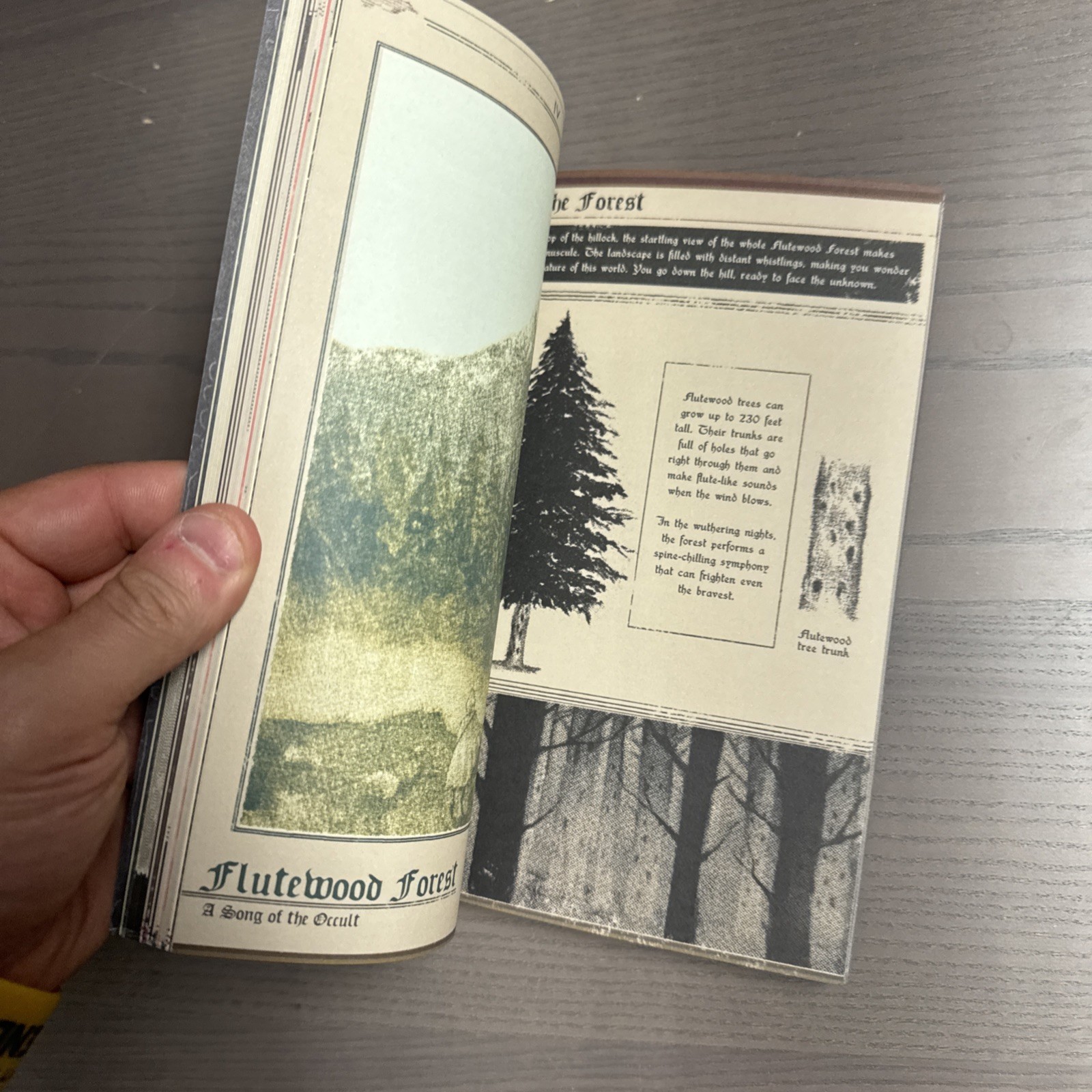 Vermis 1 plastiboo Paperback Book Guide