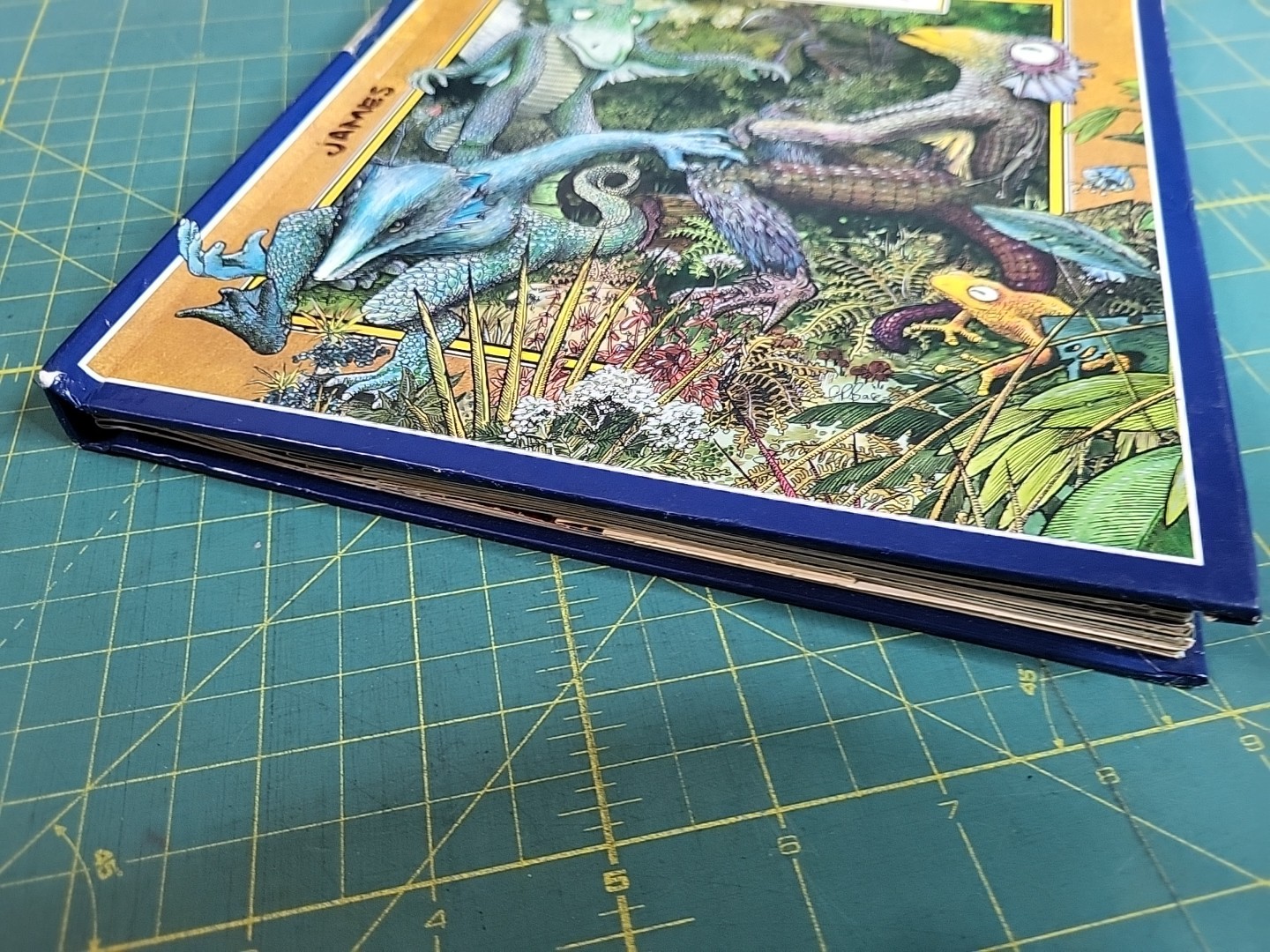 Jabberwocky A Book of Brillig Dioramas Graeme Base Book