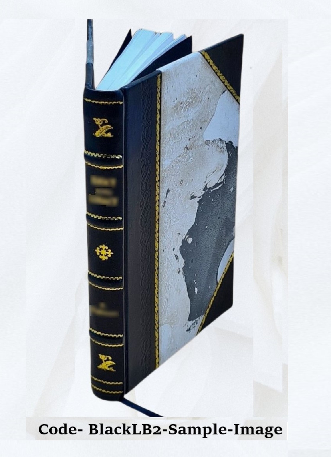 Views In The East : Comprising India, Canton, And The Shores Of [Leather Bound]