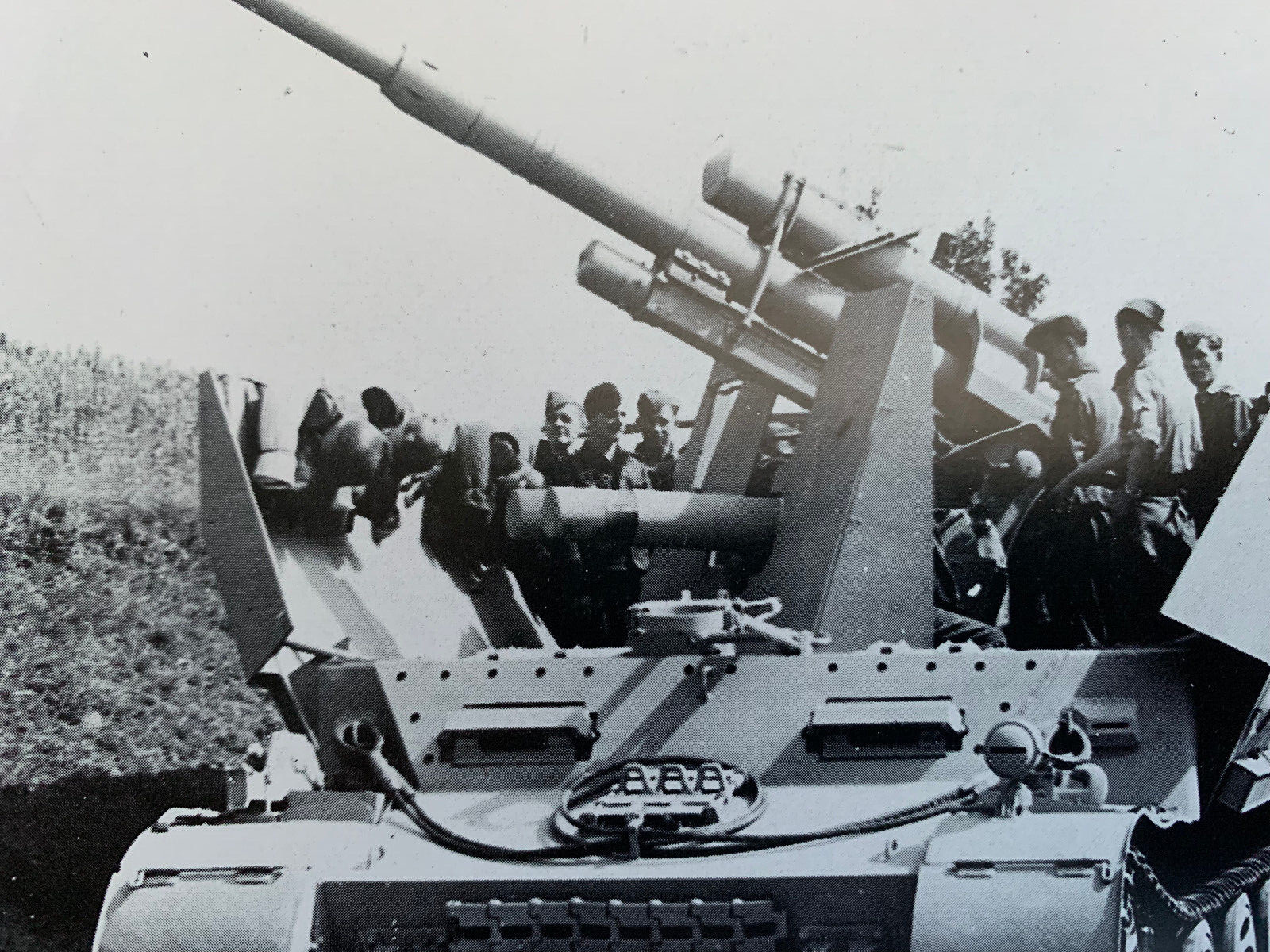 GERMAN SELF-PROPELLED GUNS Sturmgeschutz Jagdpanzer AFV Tank Bk FREE US POSTAGE!