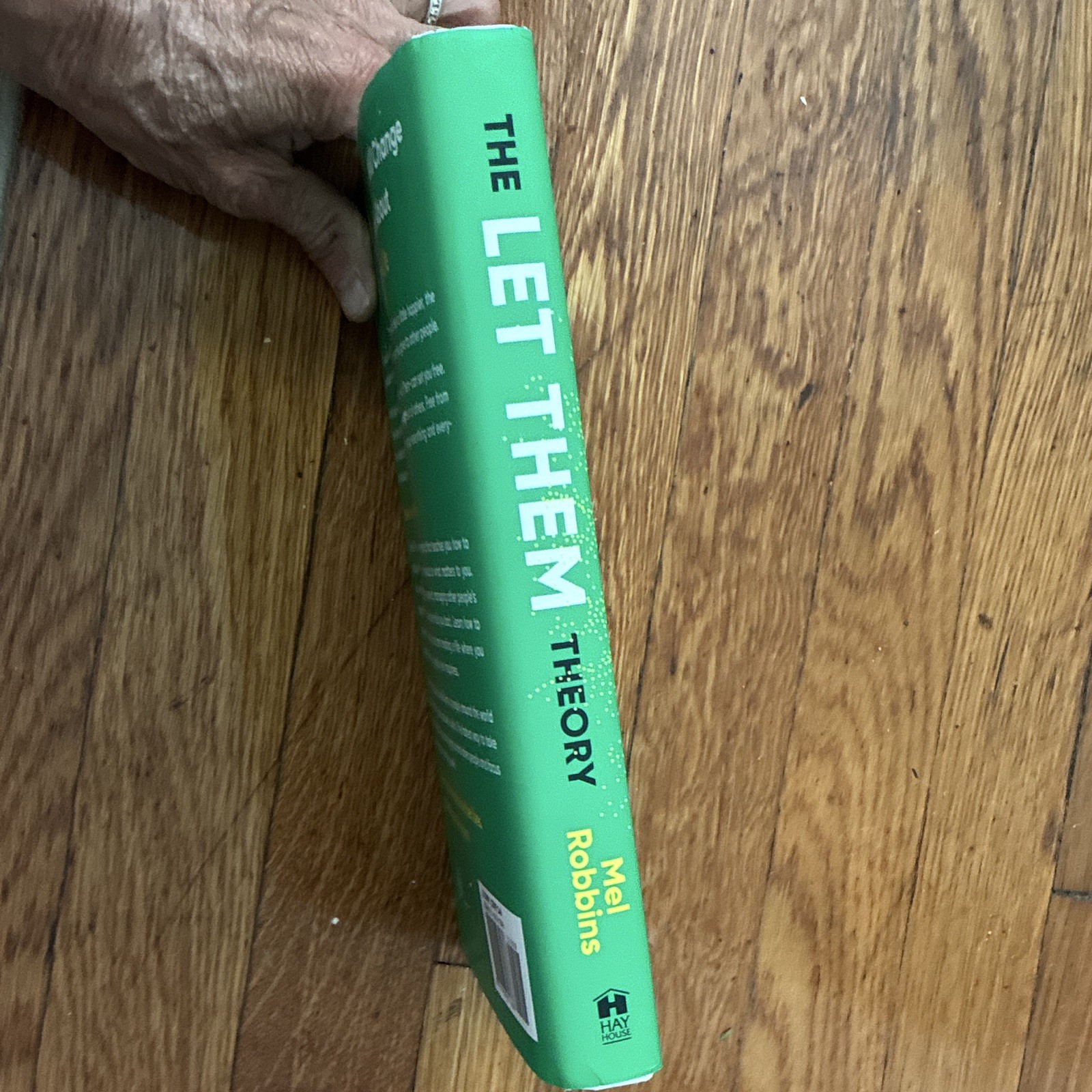 Mel Robbins & Sawyer Robbins The Let Them Theory (2024, Hardcover)