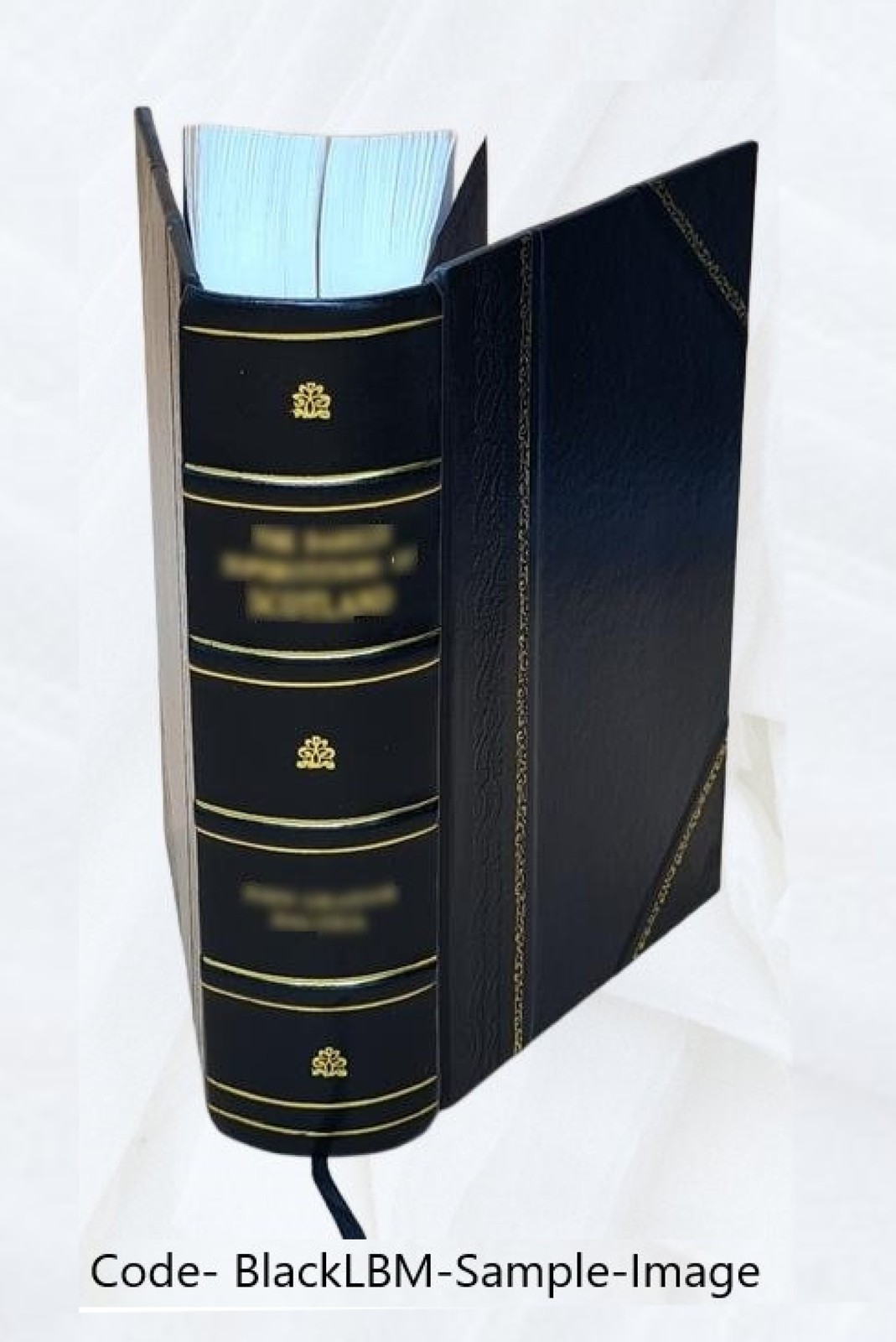 Vitalogy, or, Encyclopedia of health and home adapted for home a [Leather Bound]
