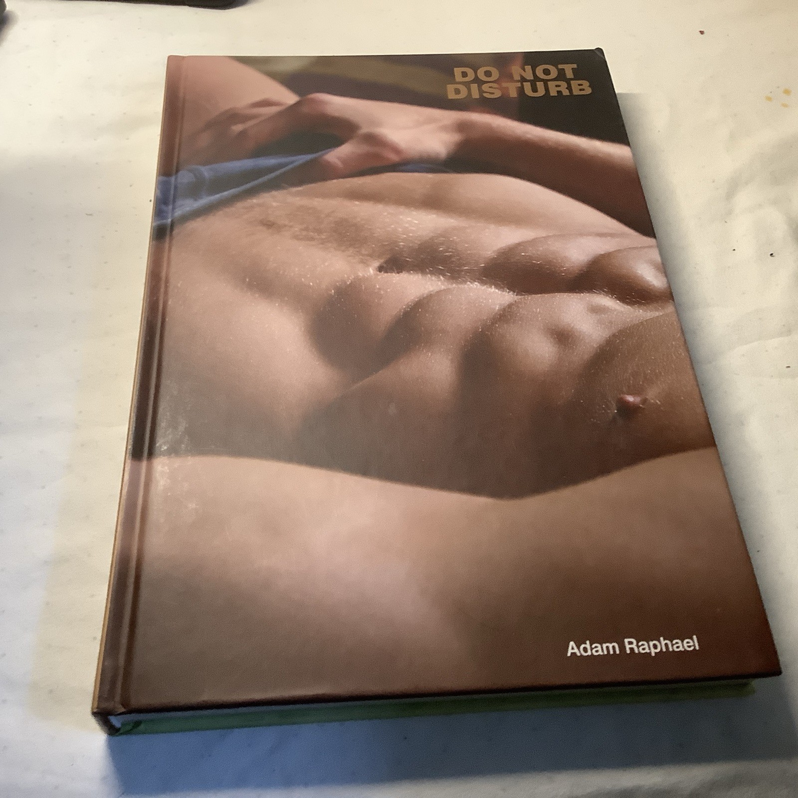 Do Not Disturb By Adam Raphael Gay Interest Erotic Book