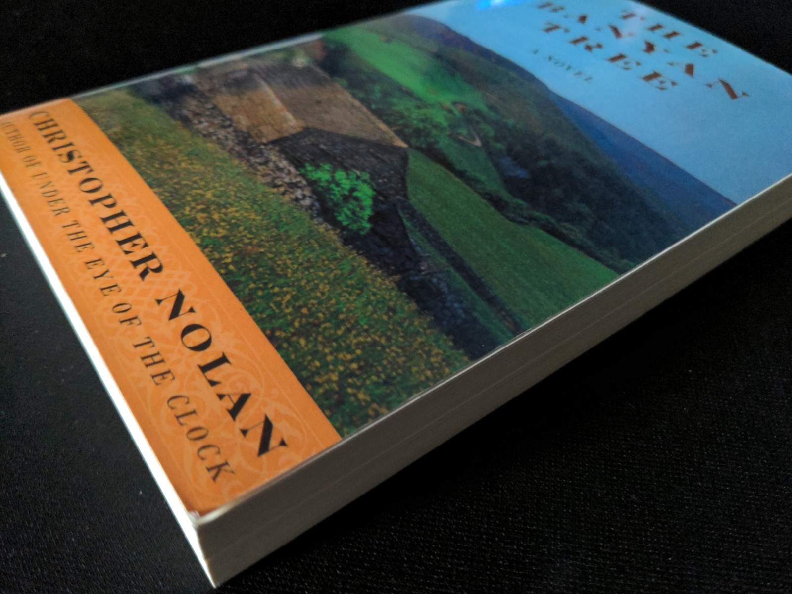 Uncorrected Proof – The Banyan Tree by Christopher Nolan 2000 PB ARC