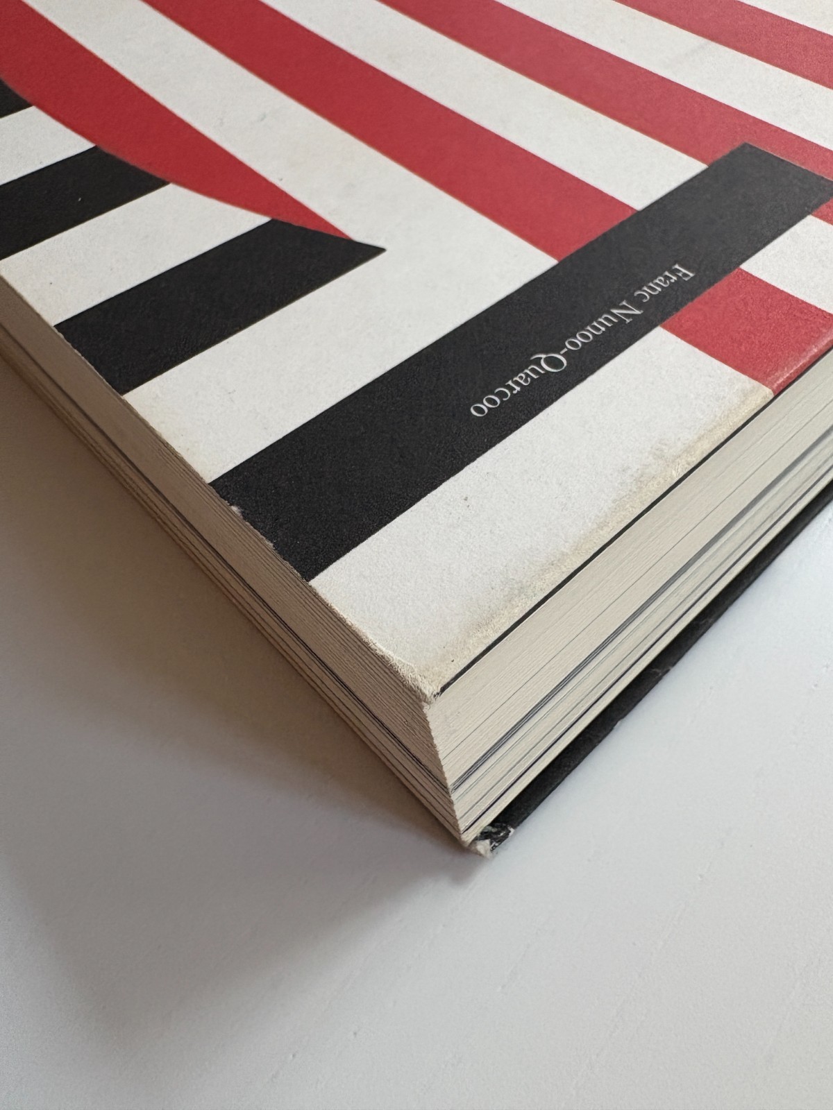 PAUL RAND: MODERNIST DESIGN Graphic Design History COLLECTIBLE 2003 Book