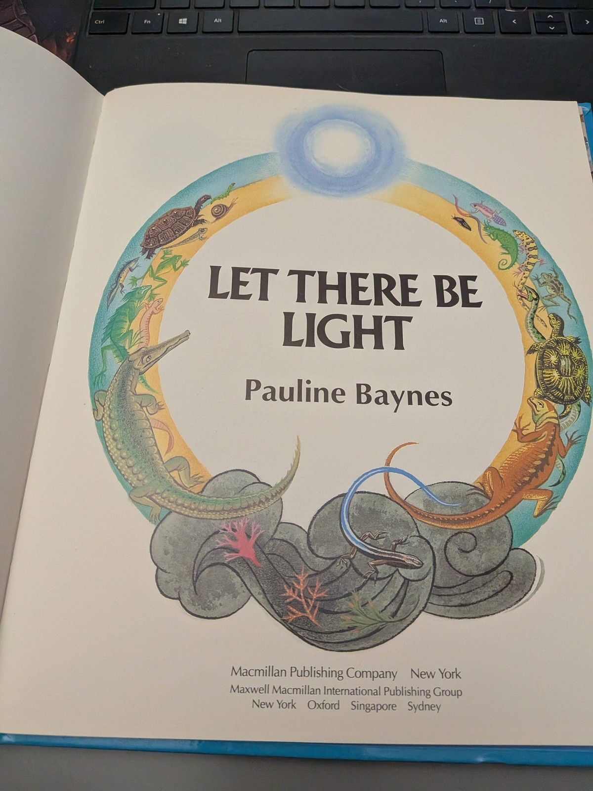 Let There Be Light by Baynes, Pauline (1991) Hardcover GOOD See Pics