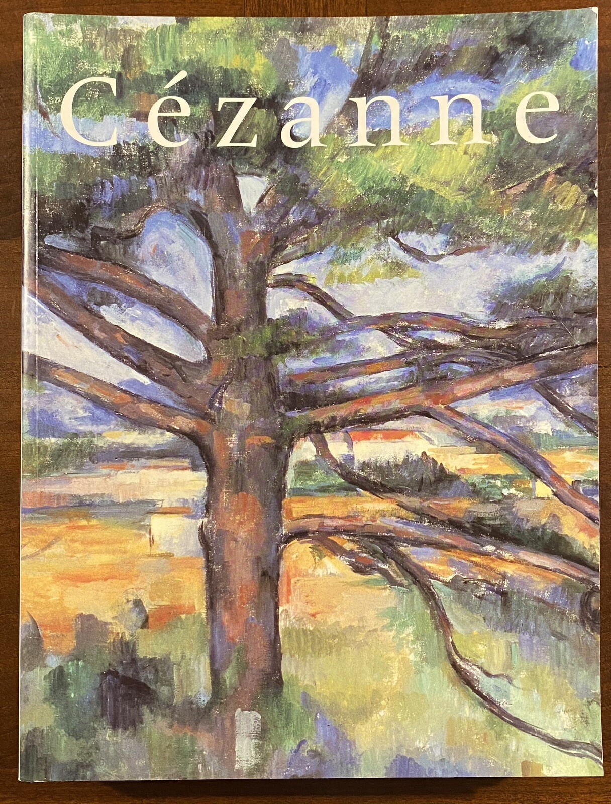 Cezanne 1996 Phila Museum of Art 600 pages Color Illustr.