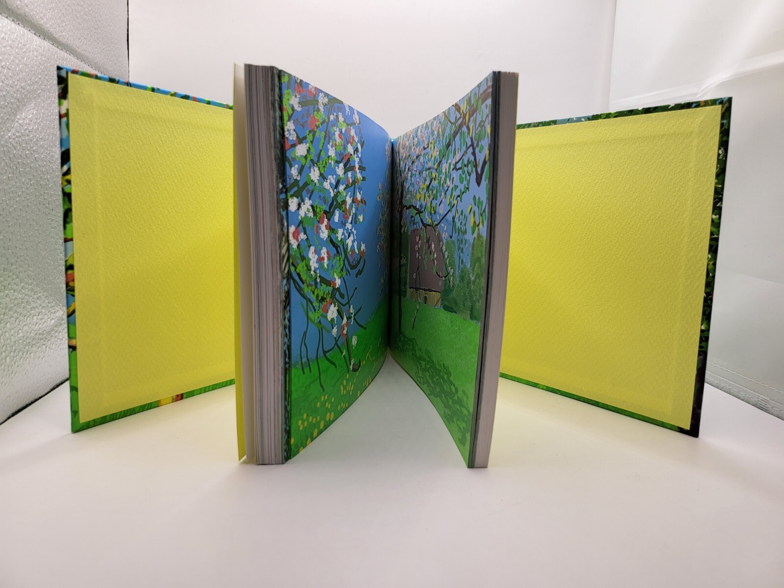 David Hockney Exhibition Official Catalogue 248 pages July 2023 Art Book Tokyo
