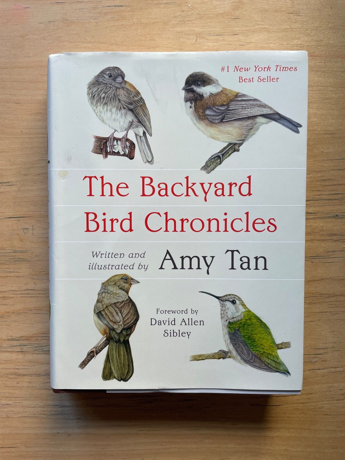 The Backyard Bird Chronicles
