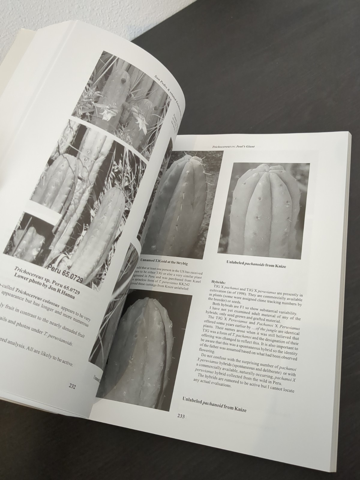 Trout’s Notes on San Pedro Trichocereus + John Allen Ethnobotanical Journal Lot