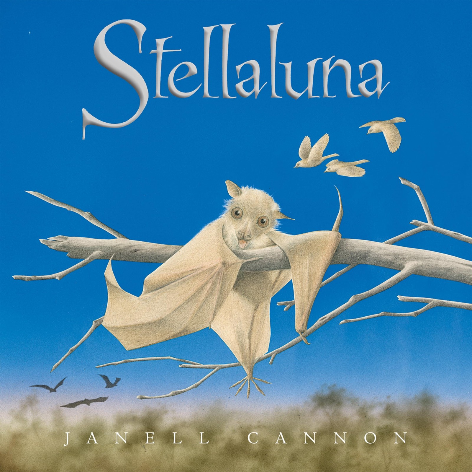 Stellaluna: A Heartwarming Animal Adventure About Identity, Family, and Find…