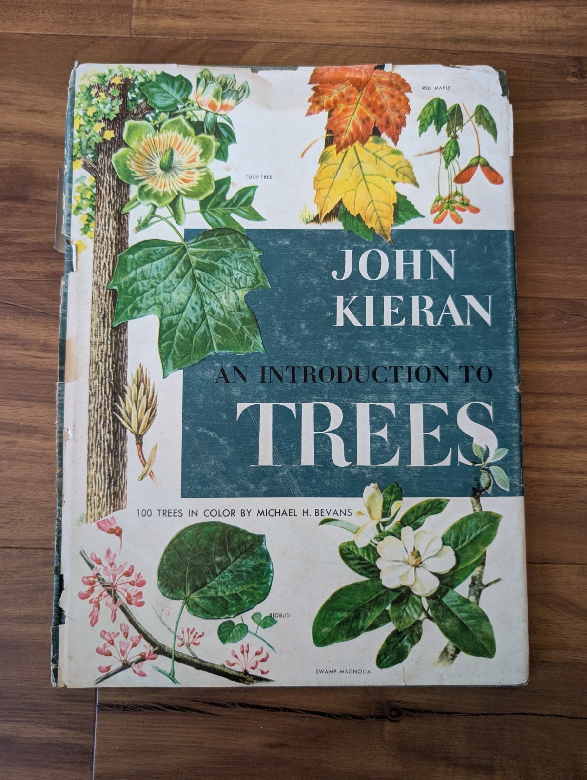 An Introduction To Trees by John Kieran 100 Trees In Color 1954 1ST EDITION