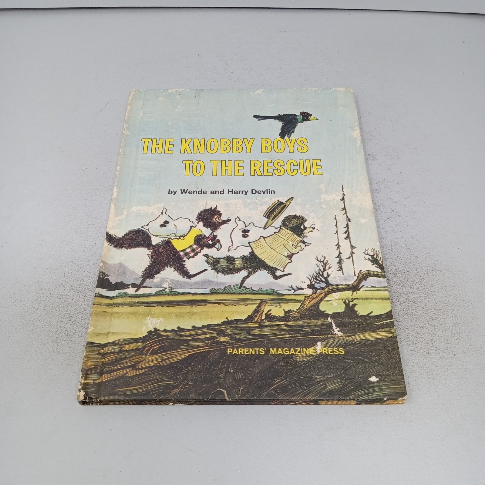 The Knobby Boys to the Rescue: 1965 Parents’ Magazine Press Hardcover