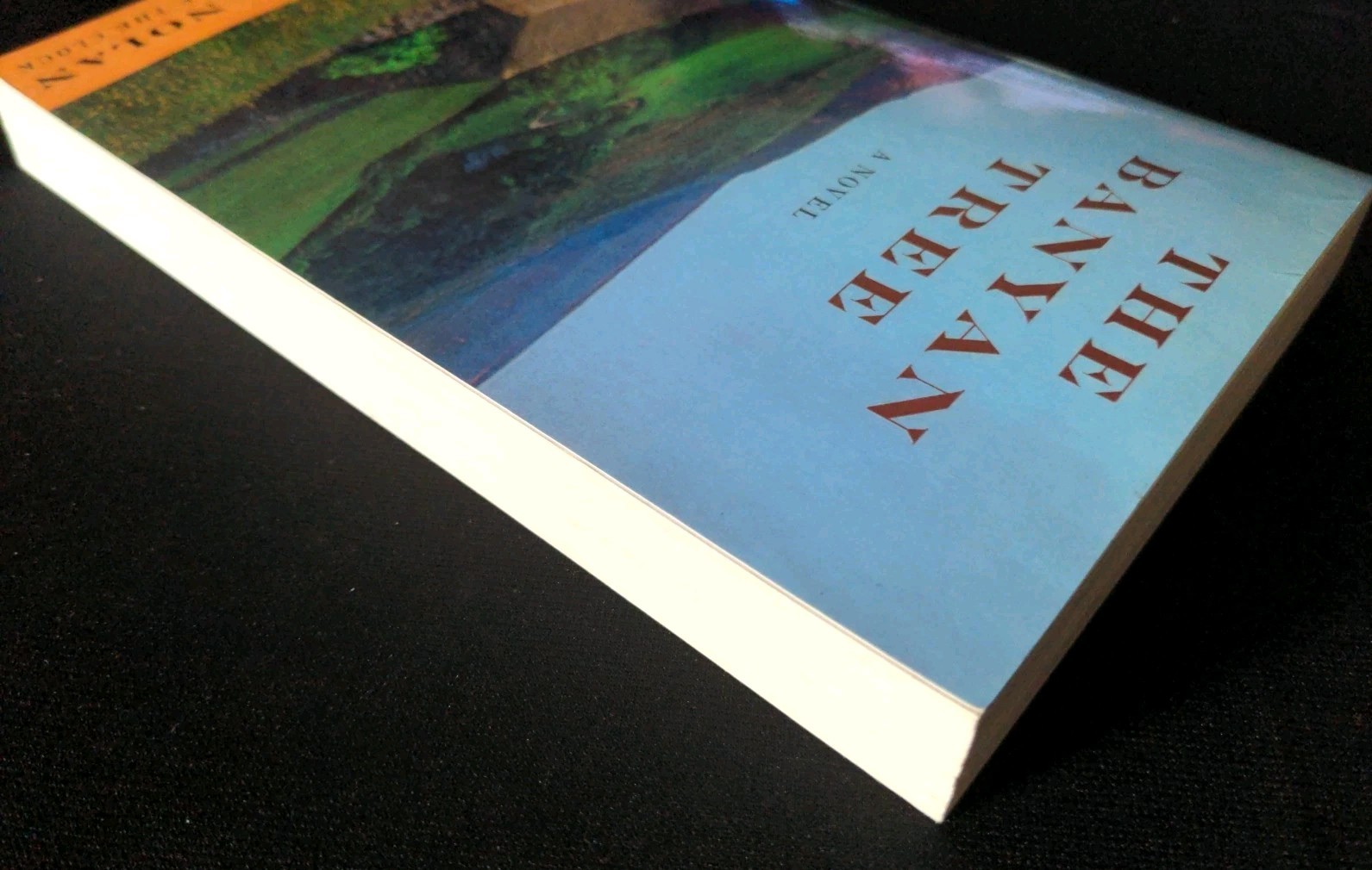 Uncorrected Proof – The Banyan Tree by Christopher Nolan 2000 PB ARC