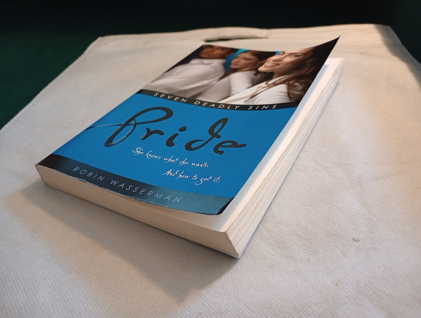 Pride by Robin Wasserman (2006 Trade Paperback) Seven deadly sins #3 SIMON PULSE