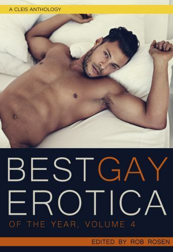 Best Gay Erotica of the Year, Volume 4 by