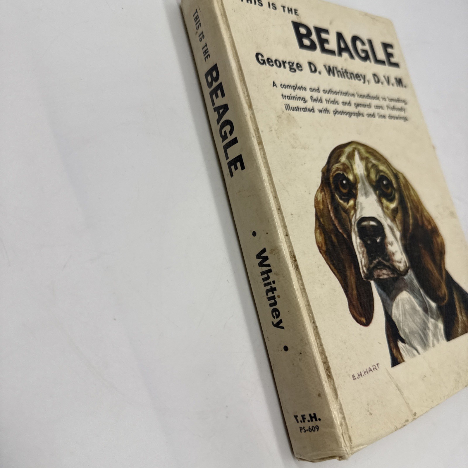 This Is The Beagle By George D. Whitney DVM 1955 Hardback 252 Pages