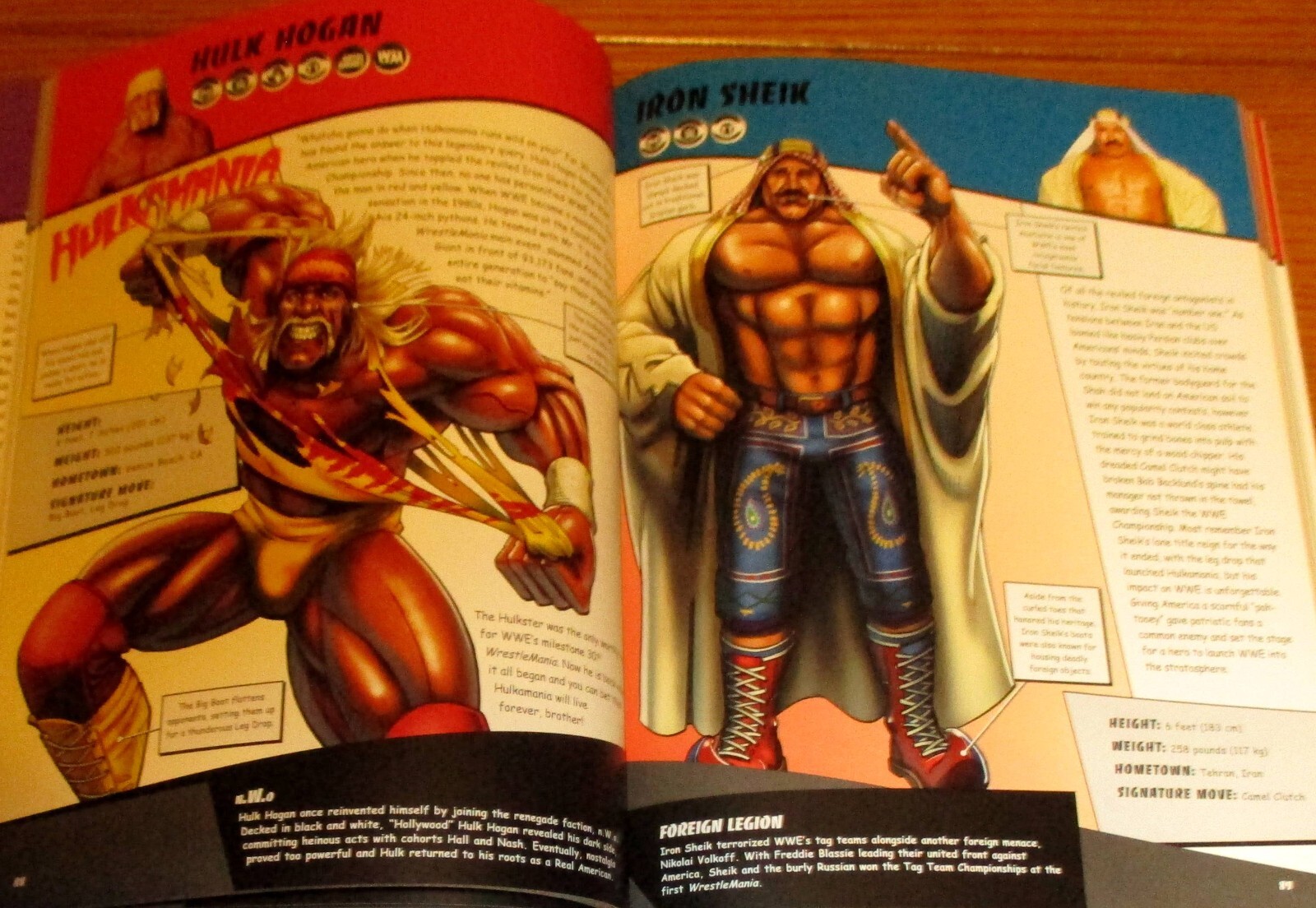 2015 WWE Ultimate Superstar Guide Softcover Book 207 Pages