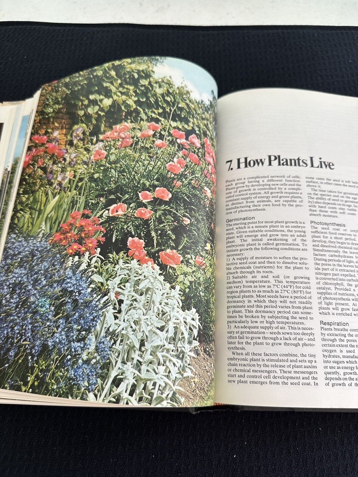Practical Gardening Encyclopedia by Roy Hay – 1977 Hardcover