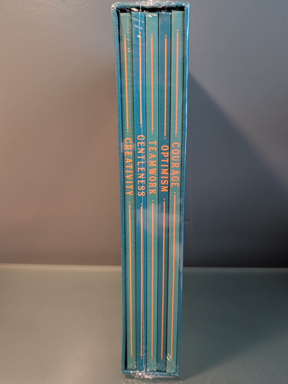 A Wonderful Day With Mabel Maclay Set 5 Children’s Books New Sealed Daily Wire