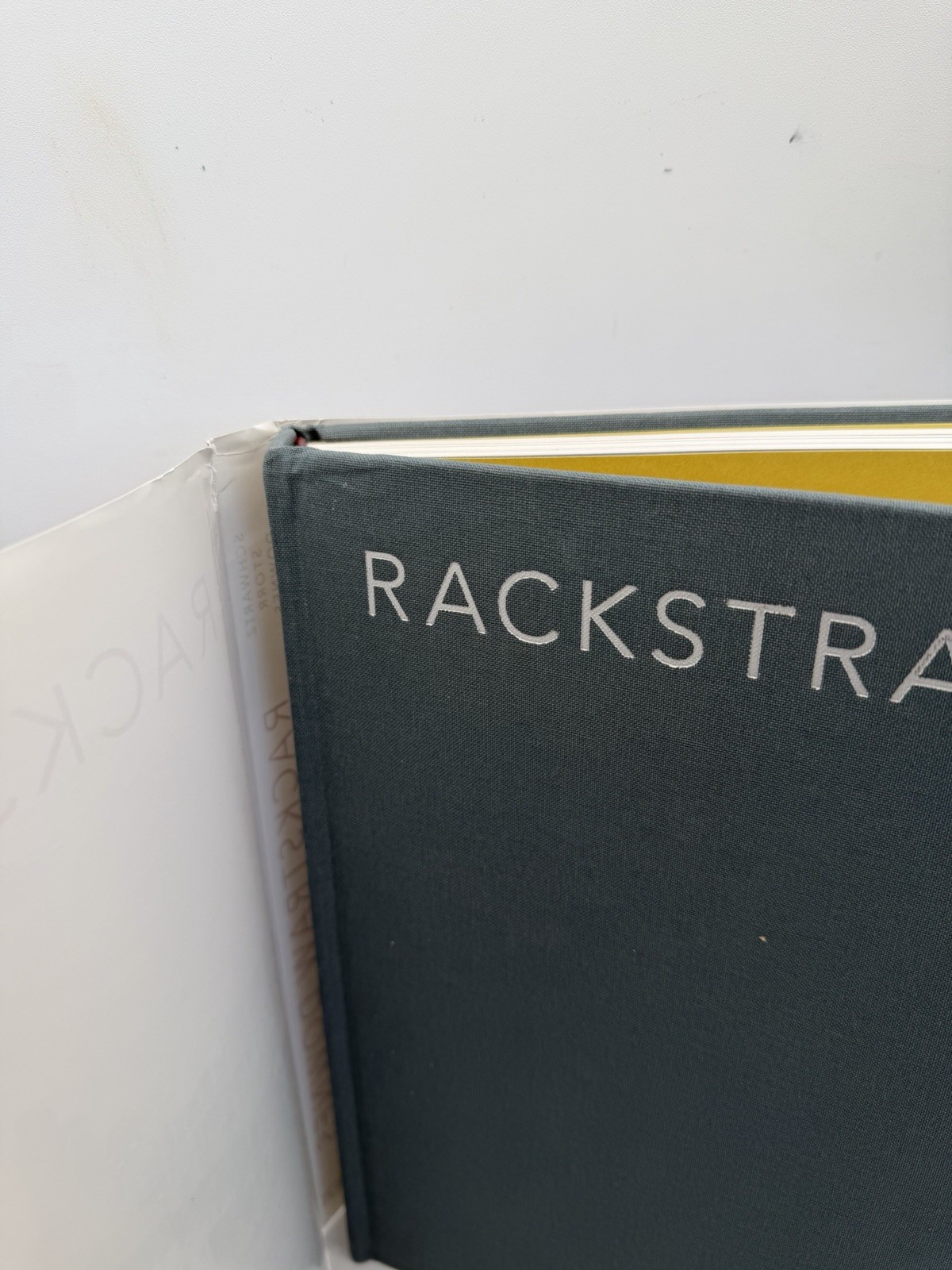 Rackstraw Downes Schwartz Storr Princeton University Press Hardcover DJ 2005