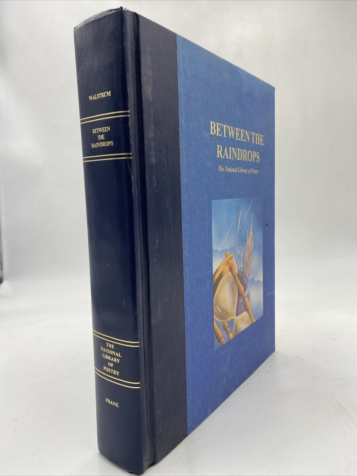 BETWEEN THE RAINDROPS The National Library of Poetry Nicole Walstrum 1995 HC