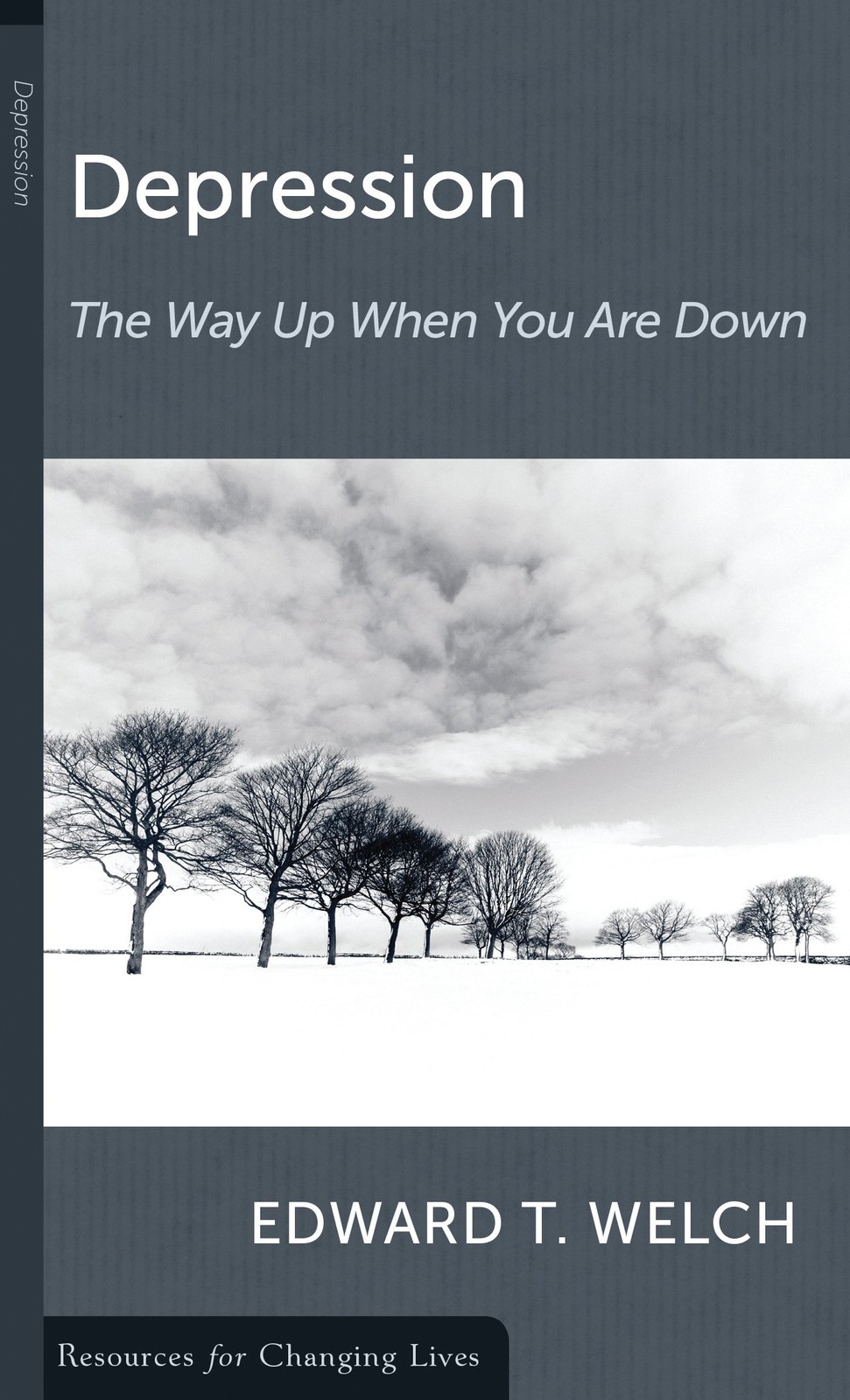Depression: The Way Up When You Are Down – Welch, Edward T. – Good – See con…