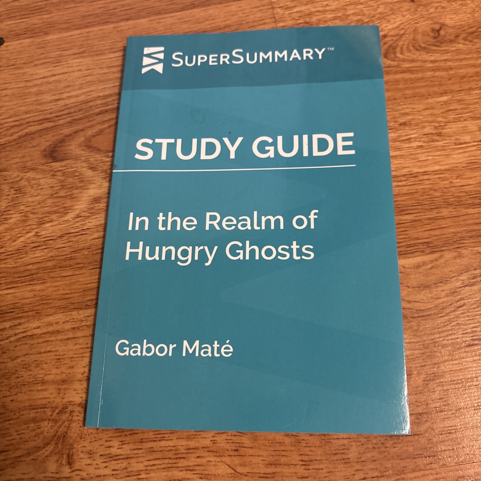 Study Guide: In the Realm of Hungry Gh…, SuperSummary