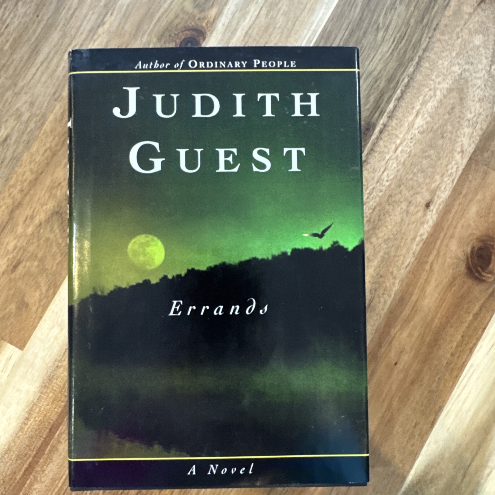 Errands by Judith Guest (1997, Hardcover)