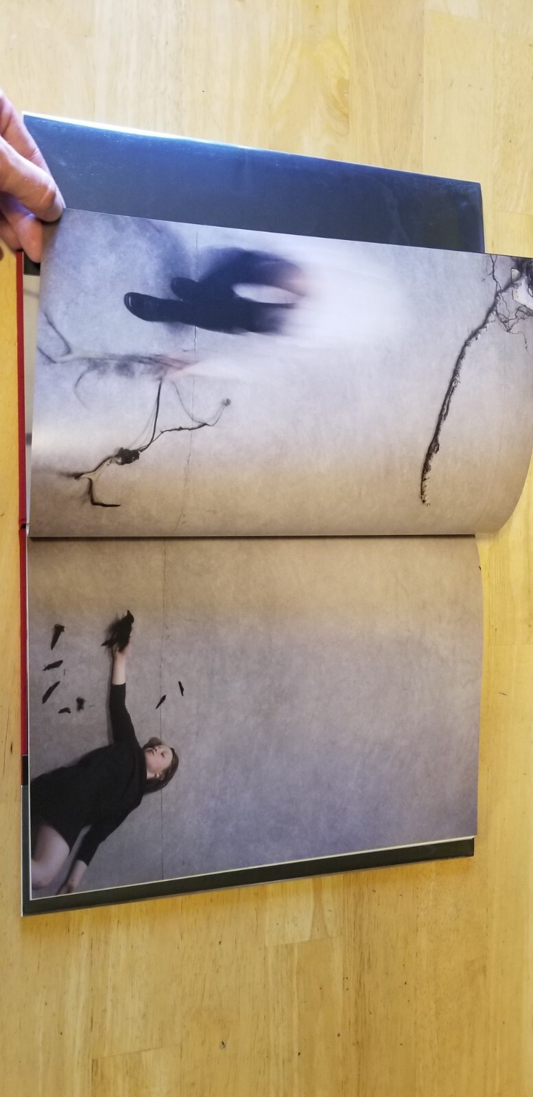 Robert & Shana ParkeHarrison COUNTERPOINT Hardback Twin Palms Publishers 2008
