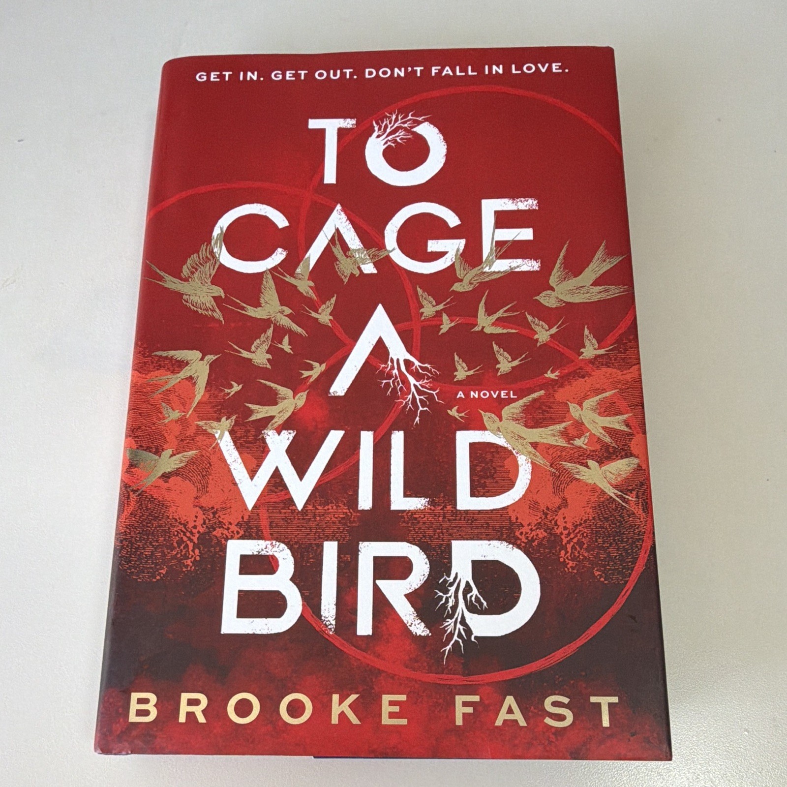 Brooke Fast To Cage a Wild Bird Deluxe Limited Ed HC Divided Fates HarperCollins