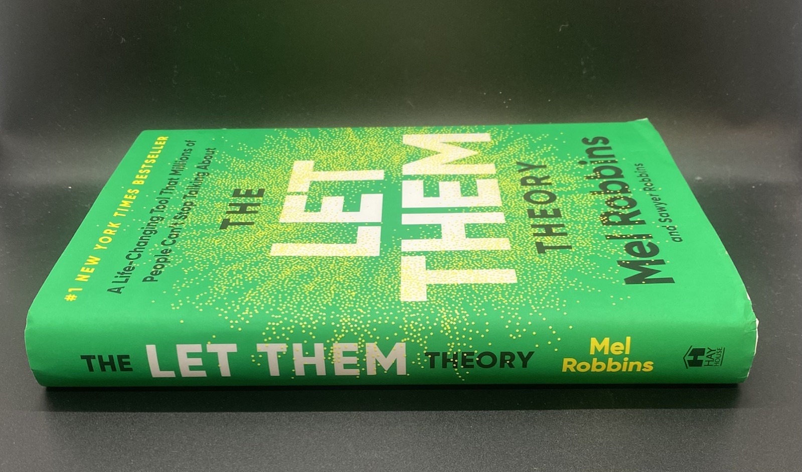 The Let Them Theory by Mel Robbins Self-Help Personal Growth Hay House: VG
