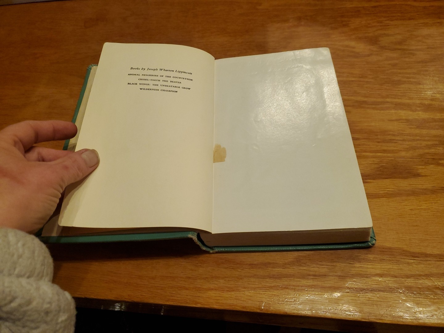 The Wolf King by Joseph Wharton Lippincott, illus. by Paul Bransom 1949 HC